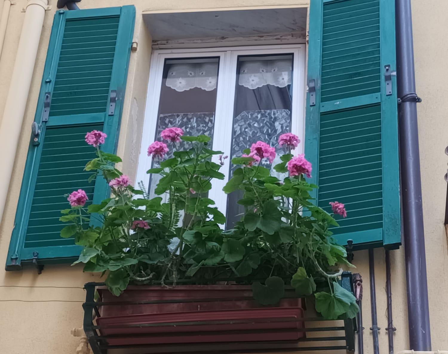 Apartment Menotti House *